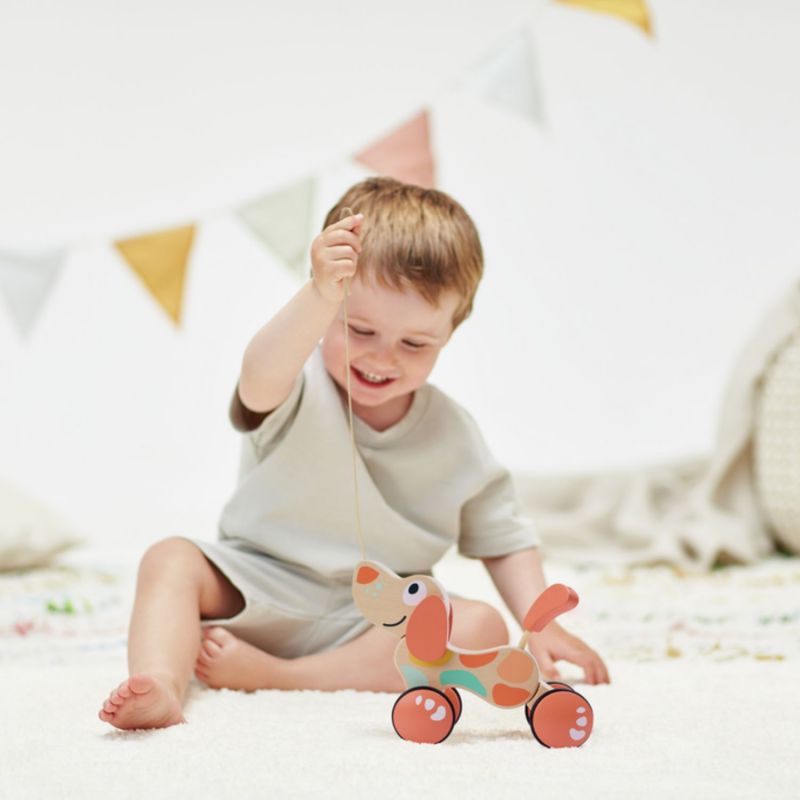 Image d'ambiance de présentation du produit Chien Puppy édition limitée à tirer - Hape